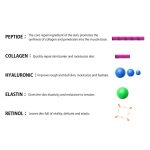 5x Peptide CICA Face and Neck Mask - Image 4